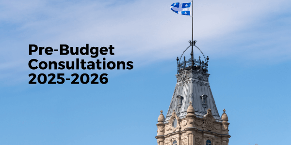 Pre-Budget Consultations 2025-2026